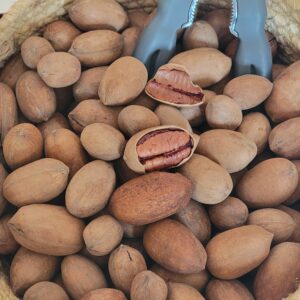 Noix de pécan coque du Maroc