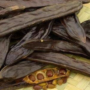 Caroube secs du Maroc