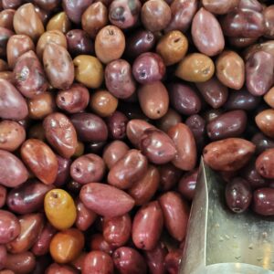 Olives Kalamata de Grèce